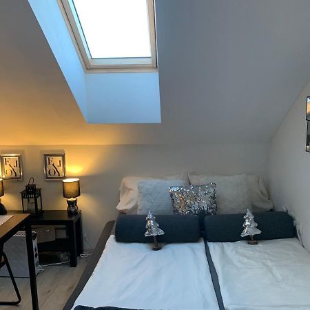 Apartment Mansarda Maribor Eksteriør billede