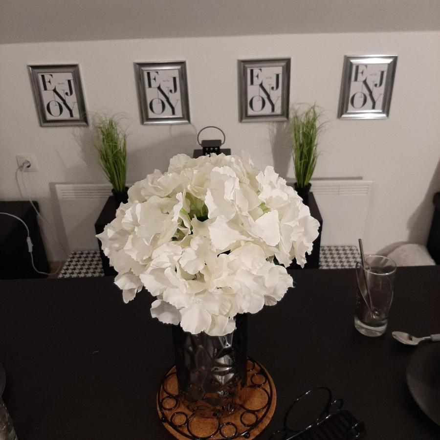 Apartment Mansarda Maribor Eksteriør billede