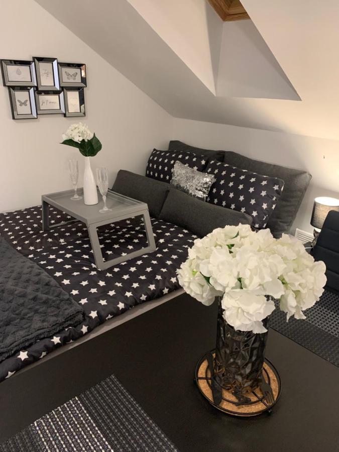 Apartment Mansarda Maribor Eksteriør billede