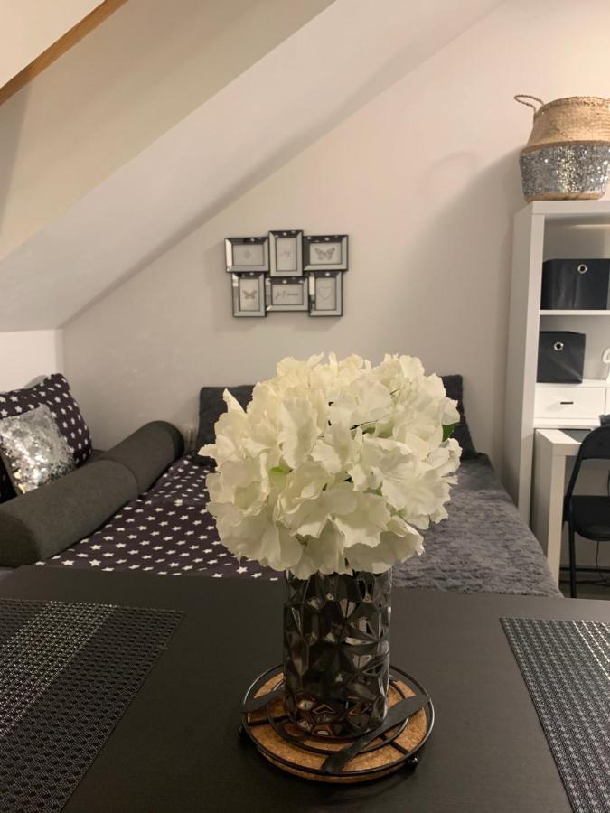 Apartment Mansarda Maribor Eksteriør billede