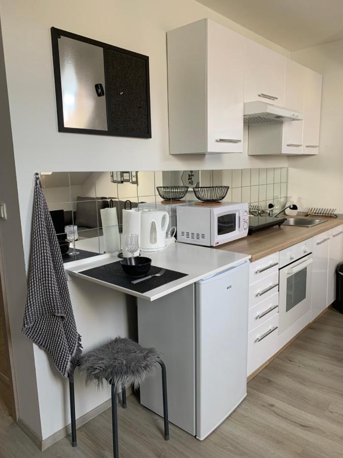 Apartment Mansarda Maribor Eksteriør billede