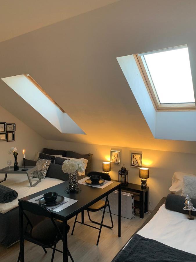 Apartment Mansarda Maribor Eksteriør billede