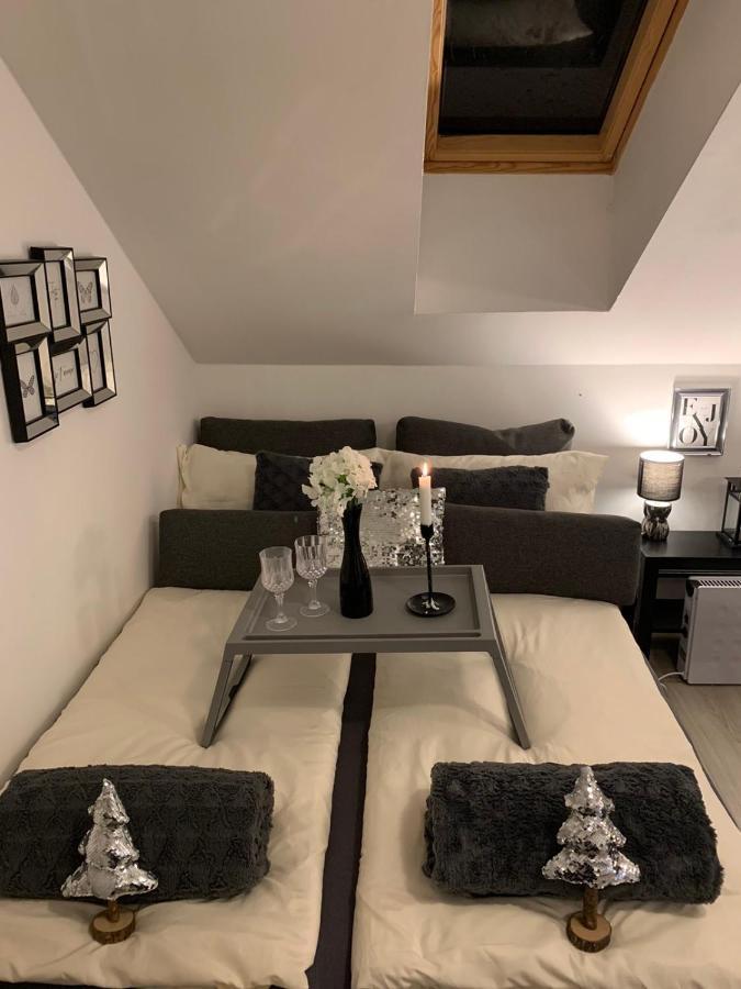 Apartment Mansarda Maribor Eksteriør billede