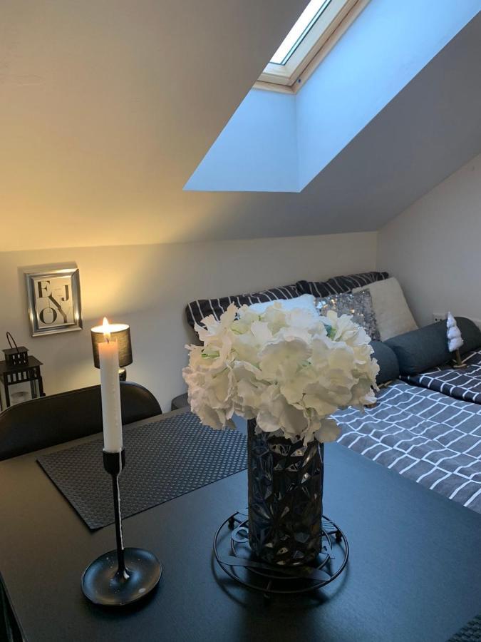 Apartment Mansarda Maribor Eksteriør billede