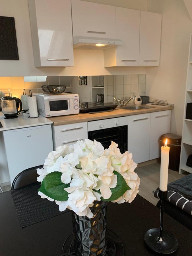 Apartment Mansarda Maribor Eksteriør billede