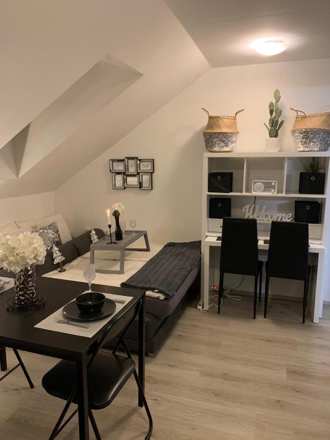 Apartment Mansarda Maribor Eksteriør billede