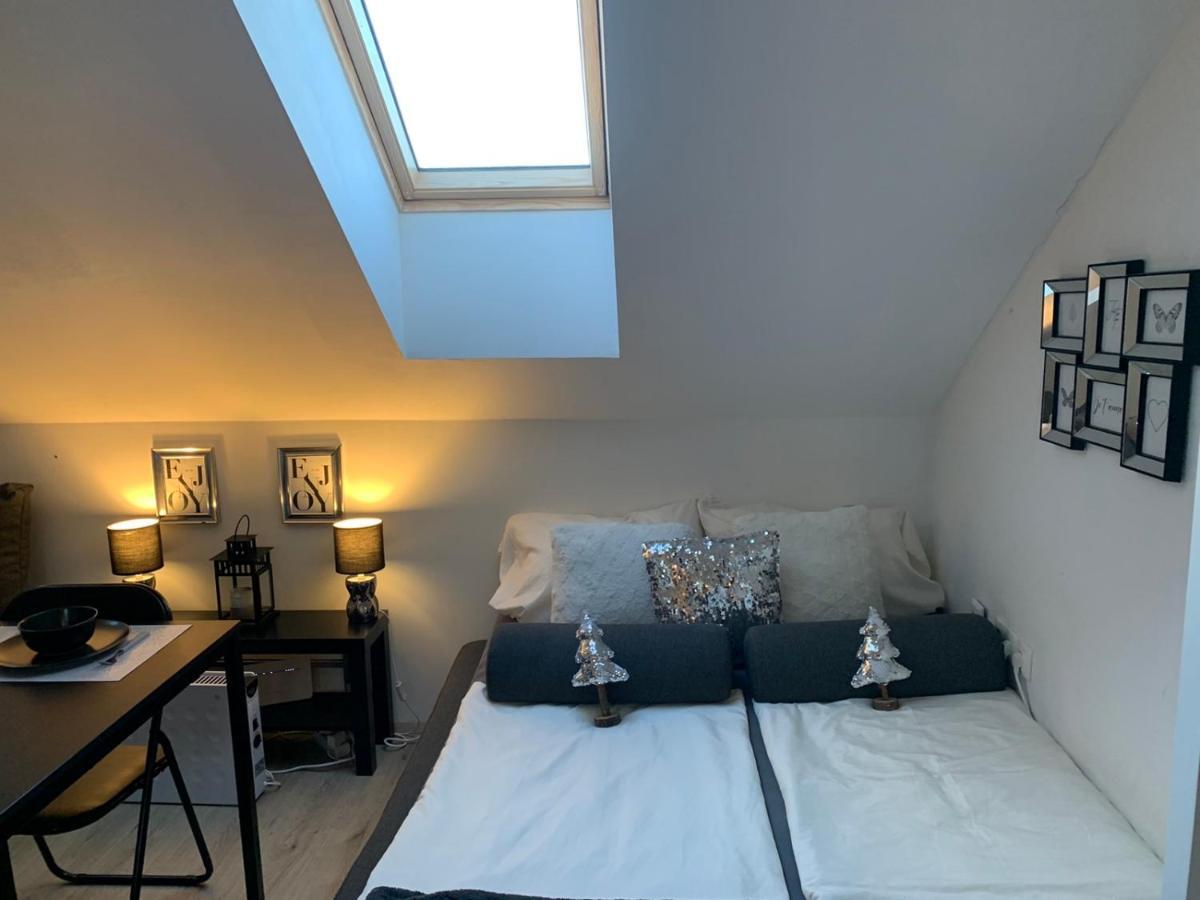 Apartment Mansarda Maribor Eksteriør billede