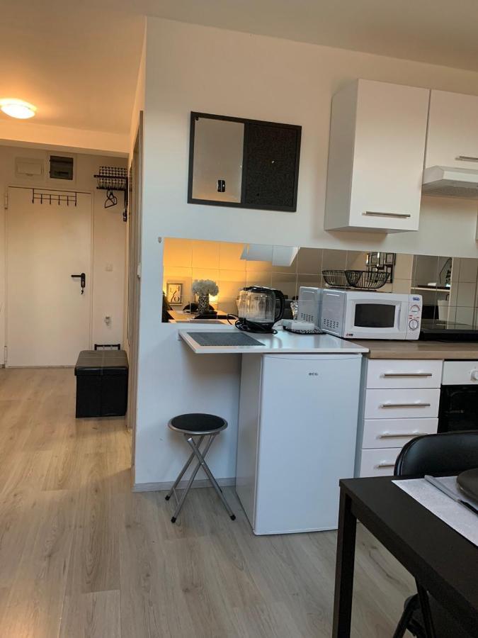 Apartment Mansarda Maribor Eksteriør billede