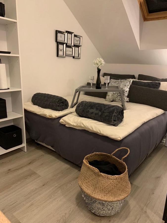 Apartment Mansarda Maribor Eksteriør billede
