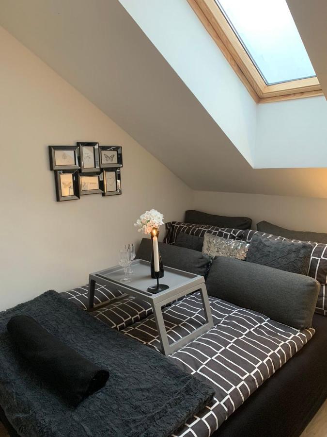 Apartment Mansarda Maribor Eksteriør billede