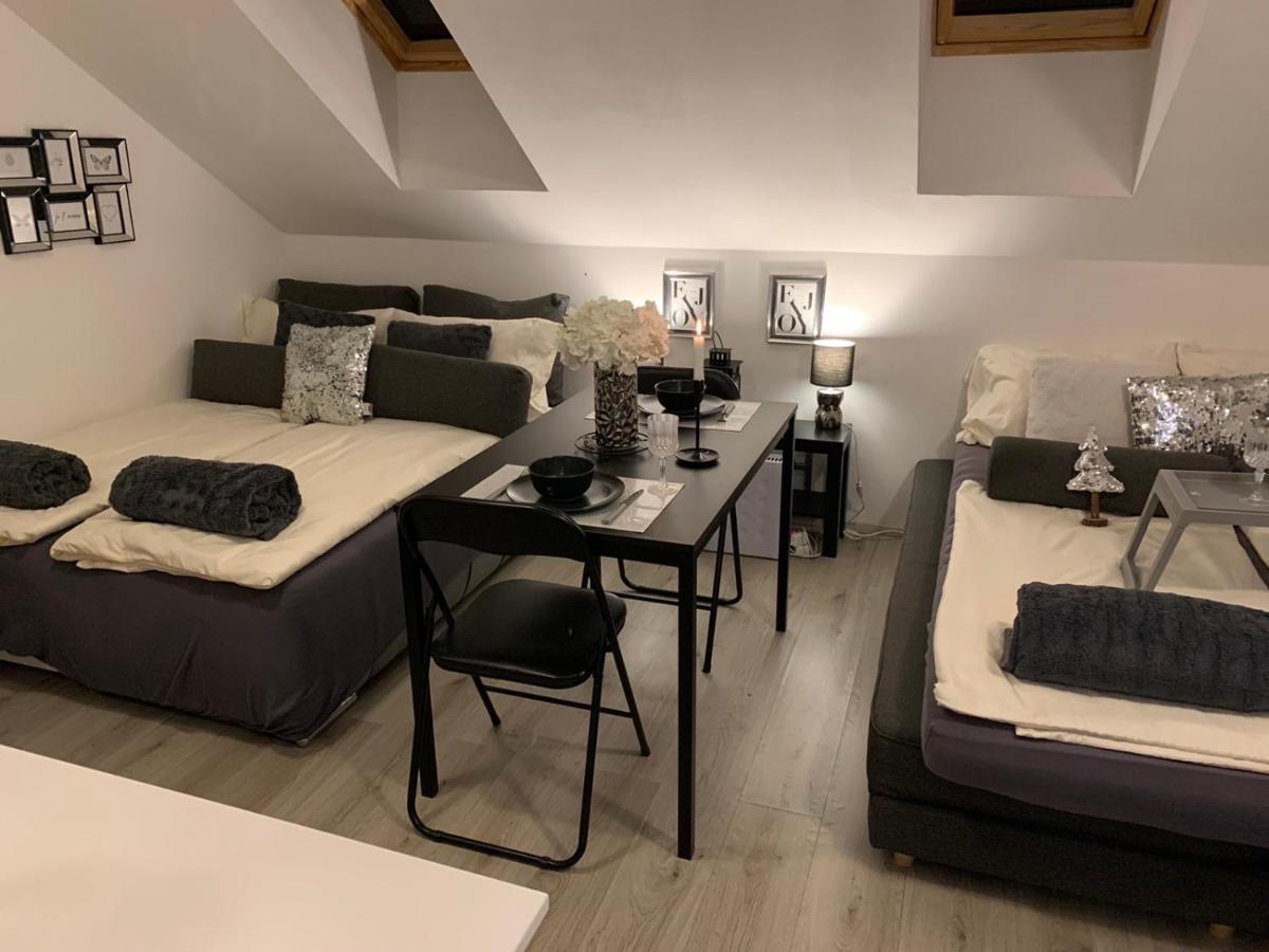 Apartment Mansarda Maribor Eksteriør billede